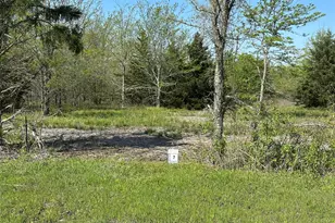 Tract 7 Farm To Market 1743, Honey Grove, TX 75446 - Photo 1