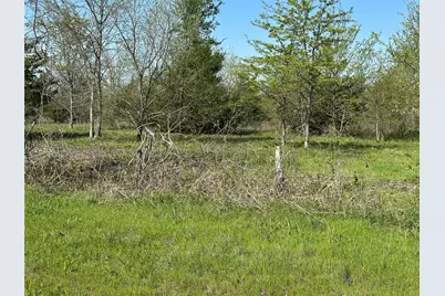 Tract 7 Farm To Market 1743, Honey Grove, TX 75446 - Photo 5