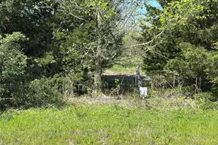 Tract 8 Farm To Market 1743, Honey Grove, TX 75446 - Photo 1