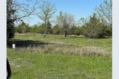 Tract 8 Farm To Market 1743, Honey Grove, TX 75446 - Photo 7