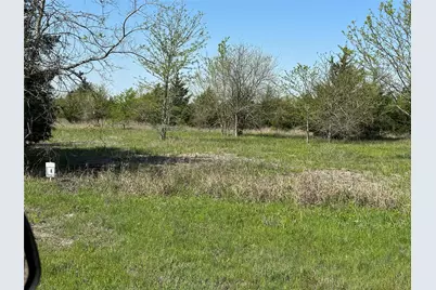 Tract 8 Farm To Market 1743, Honey Grove, TX 75446 - Photo 7
