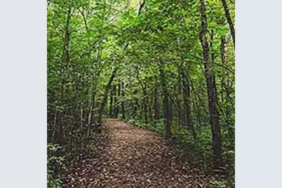 8125 Southern Shore Court, Kemp, TX 75143 - Photo 9