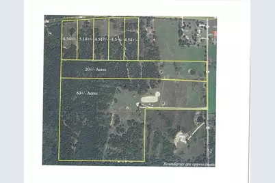 19020 Timbertrail Lot 2 Fm 317, Chandler, TX 75758 - Photo 13