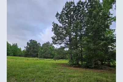 19020 Timbertrail Lot 2 Fm 317, Chandler, TX 75758 - Photo 5