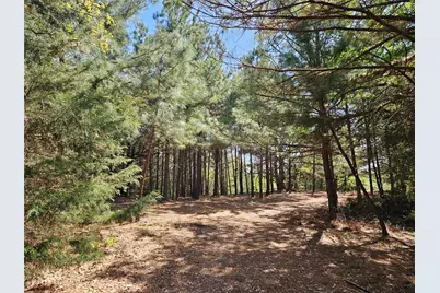 1140 Cr-3412, Chandler, TX 75758 - Photo 27