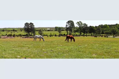 1140 Cr-3412, Chandler, TX 75758 - Photo 7