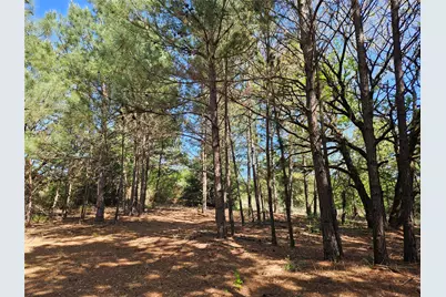 1140 Cr-3412, Chandler, TX 75758 - Photo 27