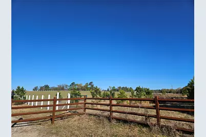 1140 Cr-3412, Chandler, TX 75758 - Photo 5