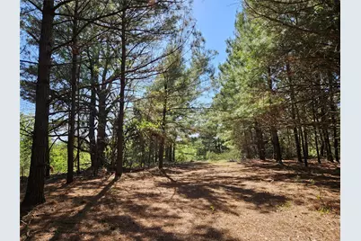 1140 Cr-3412, Chandler, TX 75758 - Photo 29