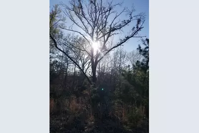 1140 Cr-3412, Chandler, TX 75758 - Photo 31