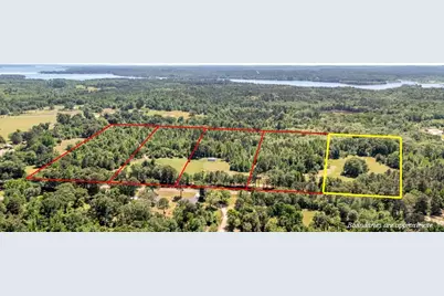 19020 Pine Meadow Lot 1 Fm 317, Chandler, TX 75758 - Photo 1