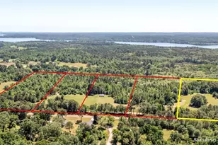 19020 Pine Meadow Lot 1 Fm 317, Chandler, TX 75758 - Photo 1