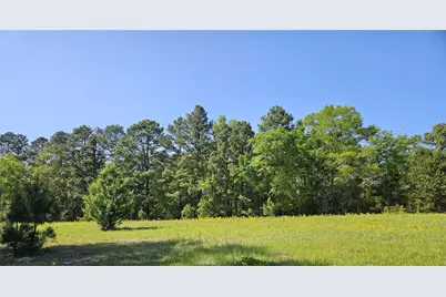 19020 Pine Meadow Lot 1 Fm 317, Chandler, TX 75758 - Photo 5