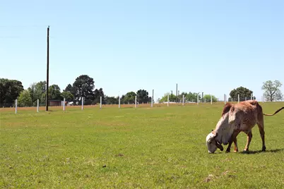 1140 Lot 2 Cr-3412, Chandler, TX 75758 - Photo 5