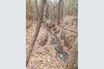 1140 Lot 2 Cr-3412, Chandler, TX 75758 - Photo 11