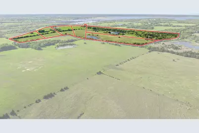 0000 County Road 2965, Dodd City, TX 75438 - Photo 7