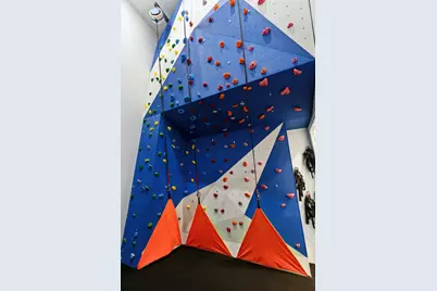 1210 Emerald Sound Boulevard, Oak Point, TX 75068 - Photo 25