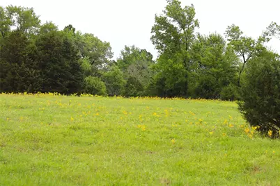 19020 Hilltop Lot 4 Fm 317, Chandler, TX 75758 - Photo 9