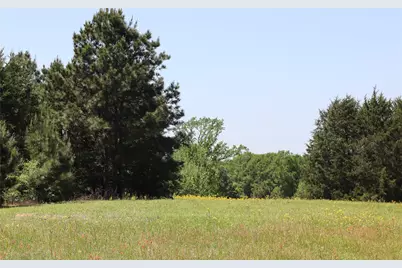 19020 Hilltop Lot 4 Fm 317, Chandler, TX 75758 - Photo 5