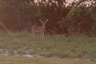 288 S Ridgeoak Ct, Weatherford, TX 76087 - Photo 25