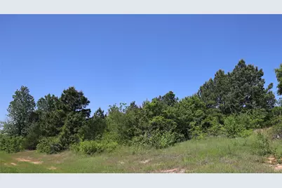 19020 Sanctuary Lot 5  4 Fm 317, Chandler, TX 75758 - Photo 5