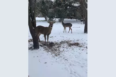185 East Street, Buffalo Gap, TX 79508 - Photo 33