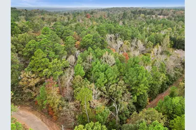 Tbd Mountain View Road N, Winona, TX 75792 - Photo 11