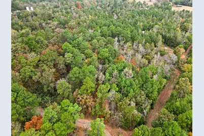 Tbd Mountain View Road N, Winona, TX 75792 - Photo 9