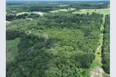 Tbd Cr 431 Road, Fairfield, TX 75840 - Photo 9