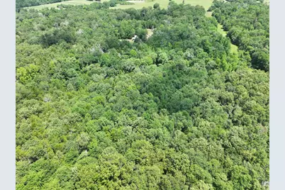 Tbd Cr 431 Road, Fairfield, TX 75840 - Photo 11