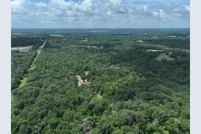 Tbd Cr 431 Road, Fairfield, TX 75840 - Photo 3