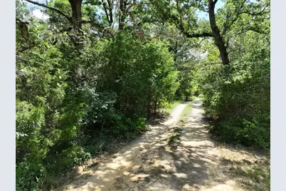 Tbd Cr 431 Road, Fairfield, TX 75840 - Photo 15