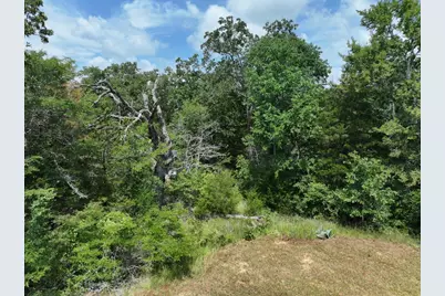 Tbd Cr 431 Road, Fairfield, TX 75840 - Photo 5