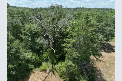 Tbd Cr 431 Road, Fairfield, TX 75840 - Photo 13