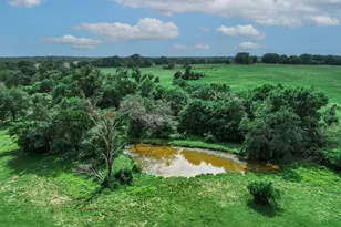 14581 Texas Hwy 11 E, Pickton, TX 75471 - Photo 3