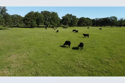 Tbd Fm 309, Hillsboro, TX 76645 - Photo 23