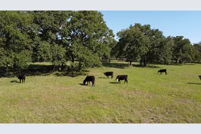 Tbd Fm 309, Hillsboro, TX 76645 - Photo 17