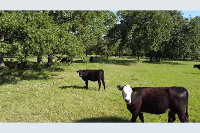 Tbd Fm 309, Hillsboro, TX 76645 - Photo 13