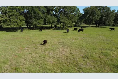 Tbd Fm 309, Hillsboro, TX 76645 - Photo 19