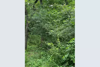 Tbd NW County Road 3323, Frost, TX 76641 - Photo 3