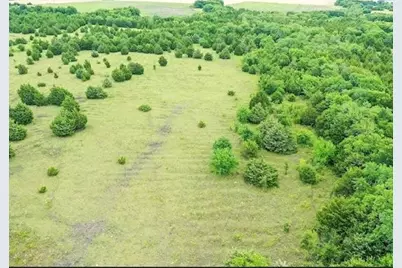 Tbd Cr-4617, Wolfe City, TX 75496 - Photo 11