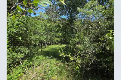 Lot 100 Lake Ridge Drive, Streetman, TX 75859 - Photo 9