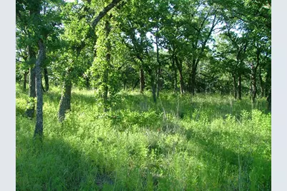 Lot 263 Ridgeline Drive, Chico, TX 76431 - Photo 1