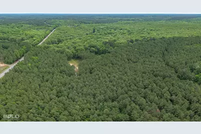 0 Highway 157, Benton, LA 71006 - Photo 5