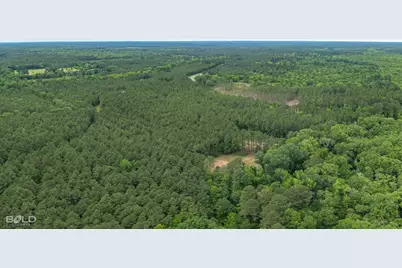 0 Highway 157, Benton, LA 71006 - Photo 9