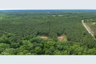 0 Highway 157, Benton, LA 71006 - Photo 1