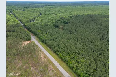 0 Highway 157, Benton, LA 71006 - Photo 3