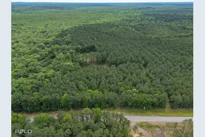 0 Highway 157, Benton, LA 71006 - Photo 11