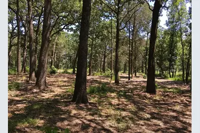 7375 Open Water Point, Quinlan, TX 75474 - Photo 17