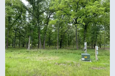 7375 Open Water Point, Quinlan, TX 75474 - Photo 9